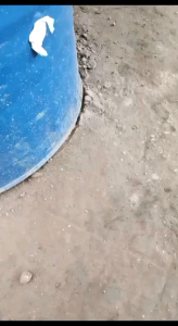 Aspal Cair 5kg Pelapis Anti Bocor & Rembes