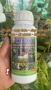 PHÂN BÓN HỮU CƠ CAO CẤP HLC 16 - PHÂN BÓN LÁ KÍCH MẦM KÍCH CHỒI DƯỠNG TRÁI CHO CÂY ĂN QUẢ HOA CÂY CẢNH RAU MÀU- 500ML