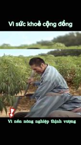 SIÊU RA RỄ HLC CHAI 500ML - EM ROOT KÍCH THÍCH RA RỄ - KÍCH RỄ CỰC MẠNH KÍCH CHỒI XANH LÁ