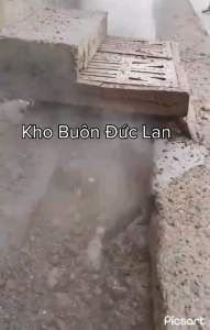Dây Thông Tắc Cống Bằng Áp Lực Nước Dây Kèm Béc Phản Lực 7 Tia Phá Mọi Dị Vật
