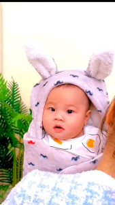 Selimut Bedong Bayi New Born Karakter Kelinci
