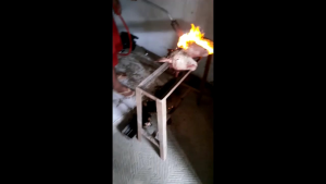kompor tikus kompor bakar kompor blower