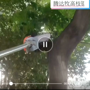 140 ENGINE PETROL GASOLINE HIGH TREE BRANCH CUTTER POLE SAW OGAWA OKAZAWA POINIER PNT250