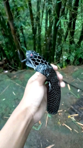 Gagang golok Model ukiran Ularr