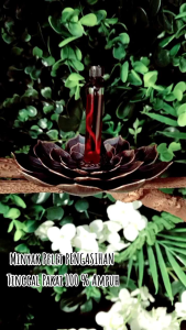 PARFUM SPESIAL PRIA WANITA FULL POWER SUPER BERKUALITAS