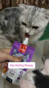 Soup Thưởng Wanpy Nắp Vặn Cho Mèo - Súp Thưởng Cho Mèo Tuýp 90G đủ vị dành cho Mèo mọi lứa tuổi
