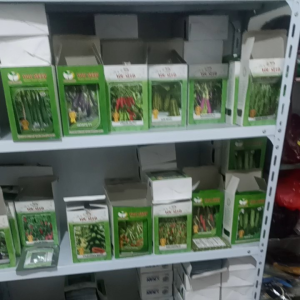 BIBIT BENIH MELON TAHAN VIRUS ISI 50 BUTIR MADU RASA YOU SEED