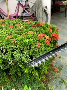 เครื่องตัดแต่งกิ่ง Makita 229v ส่งฟรี ไม่ต้องใส่โค้ด นำไปใช้สำหรับแต่งกิ่ง รั้วต้นไม้ ครบจบที่เดียว