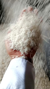 PROMO BERAS 5KG ROJOLELE/BMW