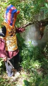 100% Pure Raw Wild Honey 3.78L from the forest of Mt Banahaw rich in natural enzymes and anti-oxidants