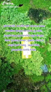 TONER GLOWING BOSTER LEMON