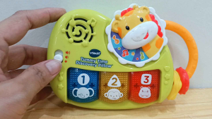 VTech Tummy Time Discovery Toy