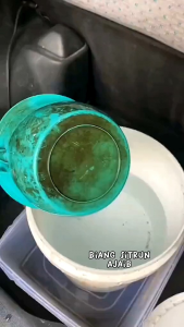 BIANG SITRUN BUBUK: Solusi Pembersih Multifungsi untuk Rumah Anda