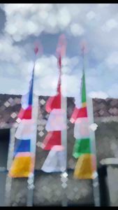 umbul umbum kuda laut rempel isi 10pics