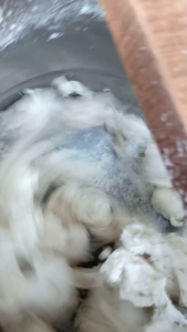 mixer donat rakitan Watt cuman 150 mixer roti rakitan