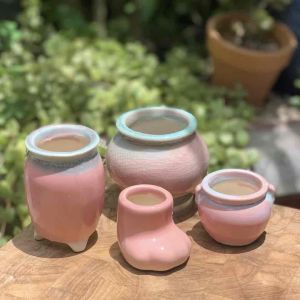 Combo 4 chậu trồng cây sen đá/xương rồng nhập Trung nhiều màu