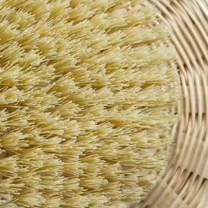 มาชา แปรงแห้ง ขัดผิว แปรงขัดแห้ง dry brush