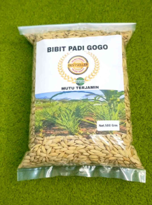 BENIH PADI GOGO Super unggul