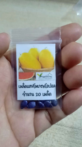 20 เมล็ด แตงโมเกรทโอปอล เมล็ดแตงโมเกรทโอปอล แตงโมผิวเหลืองทอง ทรงหมอนยาว แตงโม เมล็ดแตงโม