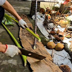 Lưỡi dao phát cỏ Anh Kiệt 30-32cm