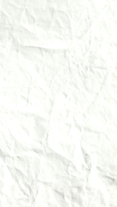 Tas Ransel Sekolah Anak SD Karakter Kucing