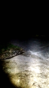 Paket Kamera NV+ IR T20: Solusi Keamanan Malam