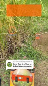 ใบตัดหญ้า รอบโคนต้น ตัด+ถาก 2 in 1 ตรา ดร.เกษตรพลัส (คุ้มค่า 2 ชุด)