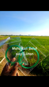 Mata Kail Belut