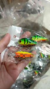 Lure Ikan Kecil 4.5cm 4grm\\n\\nLure berkualitas tinggi adalah perangkat penting dalam memancing ikan kecil di air tawar. Dalam artikel ini, kita akan membahas tentang lure desain efektif, aksesori ikan air tawar yang cocok dengan lure 4grm, dan bagaimana menggunakan lure ikan kecil 4grm dengan efektif.\\n\\n Apa Itu Lure Desain Efektif?\\n\\nLure desain efektif adalah perangkat memancing yang dirancang khusus untuk menarik perhatian ikan dan membuat mereka tertarik untuk menggigit. Lure ikan kecil 4.5cm efektif karena ukurannya yang kecil dan bobotnya yang ringan, membuatnya mudah digunakan dalam berbagai kondisi air.\\n\\n Mengapa Lure Ikan Kecil 4.5cm Efektif?\\n\\nLure ikan kecil 4.5cm efektif karena:\\n\\n- Ukuran dan bobotnya yang kecil memudahkan penggunaan dalam berbagai kondisi air.\\n- Desainnya yang menarik perhatian ikan, membuat mereka tertarik untuk menggigit.\\n- Mudah digunakan oleh pemula dan profesional.\\n\\n Bagaimana Memilih Lure Desain Efektif?\\n\\nUntuk memilih lure desain efektif, pertimbangkan faktor-faktor berikut:\\n\\n- Ukuran dan bobot lure harus sesuai dengan jenis ikan yang ditargetkan.\\n- Desain lure harus menarik perhatian ikan.\\n- Lure harus tahan lama dan mudah digunakan.\\n\\n Aksesori Ikan Air Tawar yang Cocok dengan Lure 4grm\\n\\nUntuk meningkatkan performa lure 4grm, ada beberapa aksesori ikan air tawar yang cocok:\\n\\n Aksesori Tambahan untuk Meningkatkan Performa Lure\\n\\n- Jighead: Menambah bobot lure dan membantu mengontrol gerakan lure.\\n- Spinners: Menambah efek berputar pada lure, menarik perhatian ikan.\\n- Beads: Menambah warna dan efek berkilau pada lure.\\n\\n Rekomendasi Aksesori Ikan Air Tawar untuk Pemula\\n\\n- Jighead standar: Cocok untuk pemula yang baru memulai memancing.\\n- Spinners sederhana: Mudah digunakan dan efektif dalam menarik perhatian ikan.\\n- Beads warna-warni: Menambah daya tarik lure dan membuatnya lebih menarik bagi ikan.\\n\\n Bagaimana Menggunakan Lure Ikan Kecil 4grm dengan Efektif?\\n\\nUntuk menggunakan lure ikan kecil 4grm dengan efektif, pertimbangkan teknik memancing berikut:\\n\\n Teknik Memancing yang Cocok dengan Lure Ikan Kecil 4grm\\n\\n- Cast and Retrieve: Melempar lure ke air dan menariknya kembali secara perlahan.\\n- Jerk and Pause: Menarik lure dengan gerakan cepat dan berhenti sejenak untuk membuat ikan tertarik.\\n- Slow Roll: Menarik lure secara perlahan dan menggerakkannya dengan lembut.\\n\\n Tips Memancing dengan Lure Ikan Kecil 4grm\\n\\n- Pilih waktu yang tepat untuk memancing, seperti saat matahari terbit atau terbenam.\\n- Gunakan warna lure yang sesuai dengan kondisi air dan jenis ikan yang ditargetkan.\\n- Perhatikan gerakan lure dan sesuaikan dengan perilaku ikan.\\n\\n Kesimpulan\\n\\nManfaat menggunakan lure ikan kecil 4.5cm 4grm untuk memancing ikan air tawar adalah:\\n\\n- Mudah digunakan oleh pemula dan profesional.\\n- Efektif dalam menarik perhatian ikan dan membuat mereka tertarik untuk menggigit.\\n- Cocok untuk berbagai kondisi air dan jenis ikan.\\n\\nDengan memahami cara memilih lure desain efektif, menggunakan aksesori yang tepat, dan menerapkan teknik memancing yang benar, Anda dapat meningkatkan peluang Anda untuk berhasil memancing ikan air tawar dengan lure ikan kecil 4.5cm 4grm.\n}