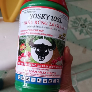 Thuốc cỏ YOSKY 10 SL(800ml)-Glufosinate-P thế hệ mới nhất mạnh gấp 2 lần