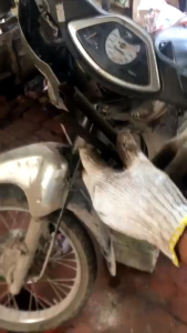 Dụng cụ cảo chén cổ (cây đóng bát phốt ra) xe máy