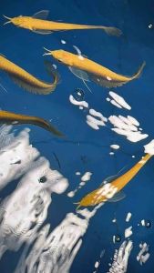 [Wholesale Price]🔥Albino Silver Arowana - AquaX Live Fish With D.O.A. *Ship West & East Malaysia* ~Farm Direct Sell