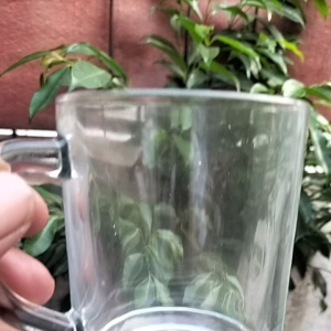 diskon murah cangkir kopi polos (6pcs) gelas kopi bahan kaca tebal