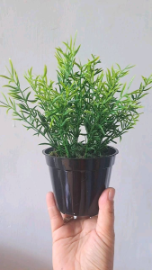 tanaman artificial bunga meja daun mint+pot