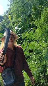 ปลายขอ มีดปลาย และ มีดดายหญ้า ปลายขอ มีดหวด และ มีดถางหญ้า ปลายขอ ด้ามบอง