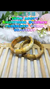 Natural Fossilized Coral Bracelet/Smoothing Surface 光滑表面/15mmAbout/天然珊瑚玉手排