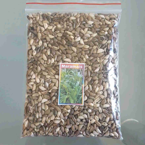 Maramais 2500 Seeds | Geukdong Ph Forage Grass Seeds Good for Goats Rabbits Cattle Pigs Livestocks
