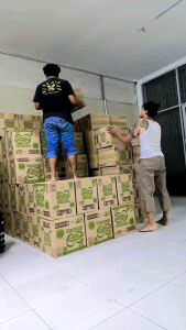 Mamypoko Popok Pants X-Tra Kering Nbs44 S38 M32 L28