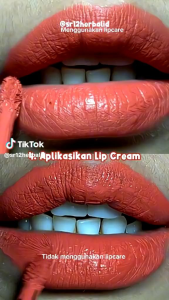 Lipcream Cherishme SR12 / Lip Matte / Lipcream ringan / tahan lama / kemasan 2 gram