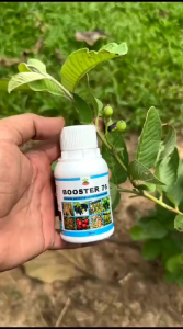 Pupuk Booster 76 Kemasan 250ml Pupuk Organik Pelebat Penyubur Buah