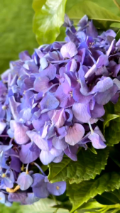 CHRYSALYN MIDI DRESS POLOS LUXURY✔GAMIS NADHEERA LUXURY✔