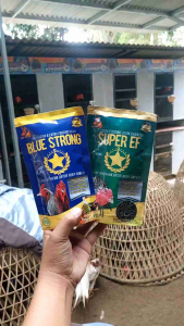 Blue Strong Jamu Ekstra Fooding Ayam Bangkok Aduan Agar Sehat Nafas Panjang Dan Merah Merona.