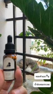 น้ำมันหอมระเหยสำหรับแมวและคน กลิ่น cat purr โทนนุ่มนวล อ่อนโยน หอมละมุนหวานฉ่ำน้ำ