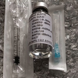 4+1 kucing anjing arnab kambing lembu