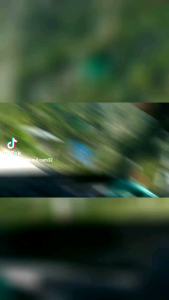 Củ Bạc Hà Núi 10kg (nói KHÔNG với củ trồng ) Bao Chất Lượng Bao Tươi Mới