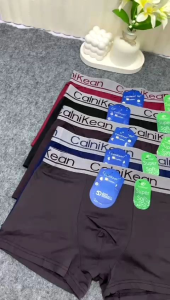 boxer pria elastis warna polos