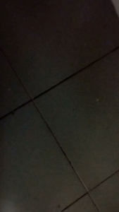 POLICE CAR WITH IC SOUND BUMP & GO FLASHING TOP LIGHTS