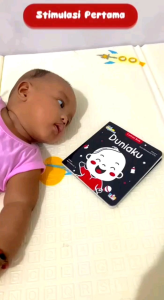 High Contrast Bayi Pintar: Duniaku