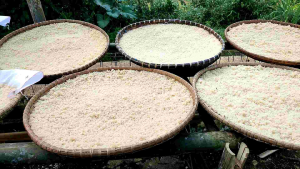 beras tiwul / oyeg geong inter singkong