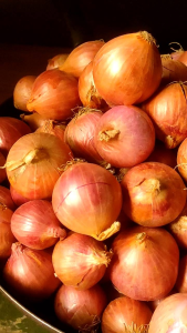 หอมแขก หอมแดง (ส่งฟรีกดรับโค้ดด้านล่าง) สด ใหม่ 500 1000 กรัม ลูกค้าสามารถเก็บคูปองส่งฟรี คูปองส่วนลดสินค้า ตรงใต้ภาพสินค้า แจกคูปองตรงที่ไปกดติดตาม หอมแดงสด - Lazada